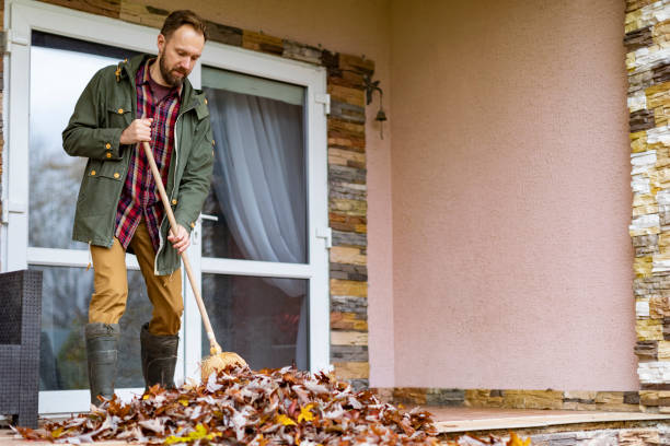 Best Commercial Cleanout Services  in Ajo, AZ